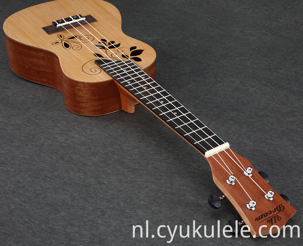 ukulele9